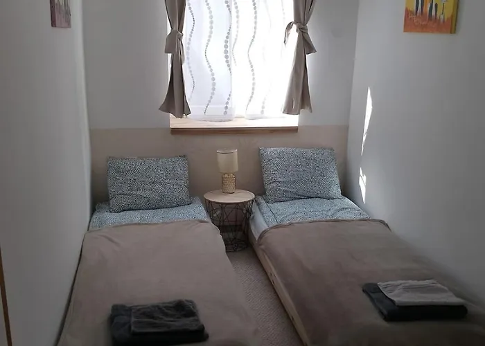 Fine 凯斯特海伊